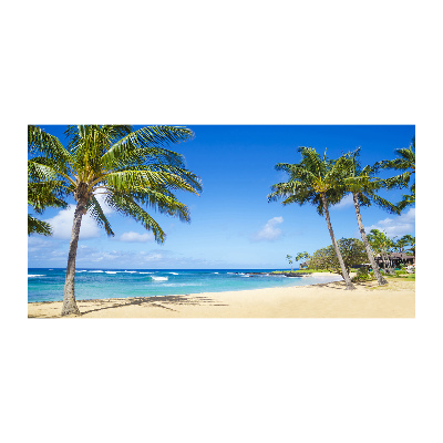 Quadro in vetro acrilico Spiaggia tropicale