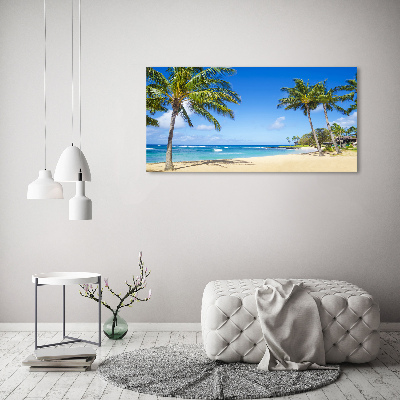 Quadro in vetro acrilico Spiaggia tropicale