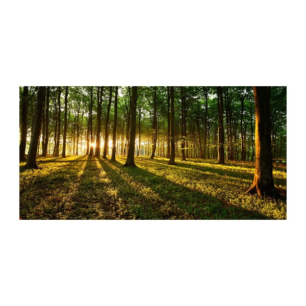 Quadro vetro acrilico Raggi di sole