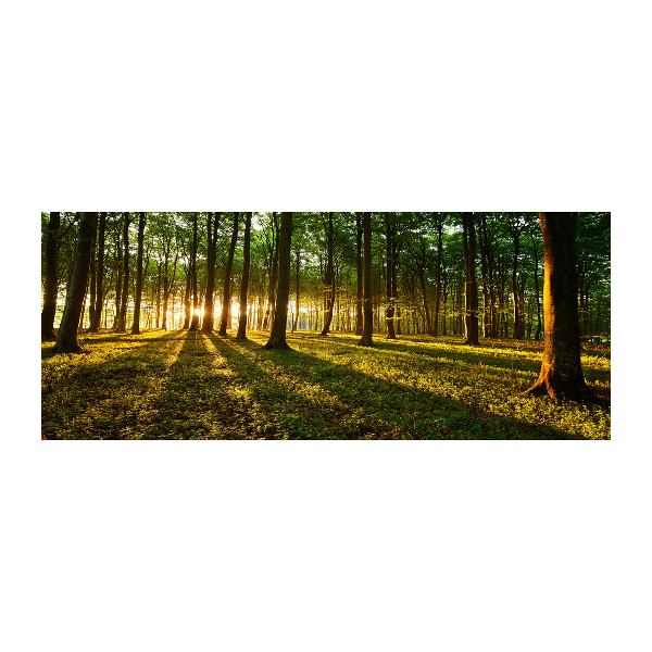 Quadro vetro acrilico Raggi di sole