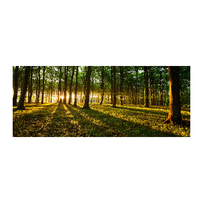 Quadro vetro acrilico Raggi di sole