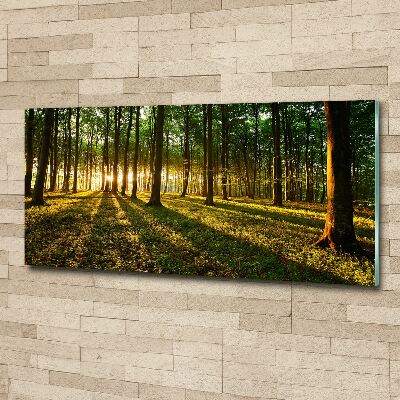 Quadro vetro acrilico Raggi di sole