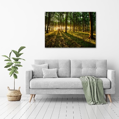 Quadro vetro acrilico Raggi di sole