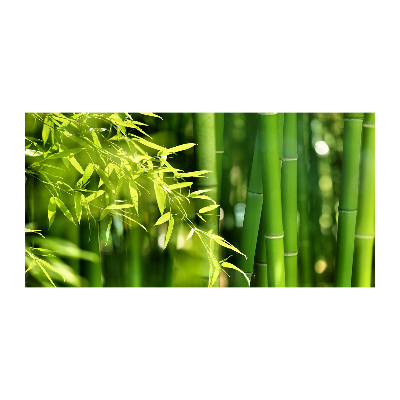 Quadro vetro acrilico Bambù