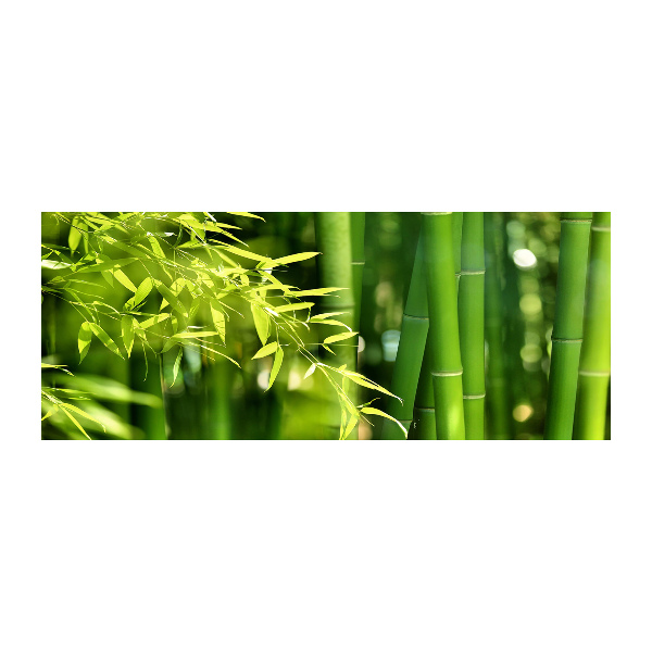 Quadro vetro acrilico Bambù