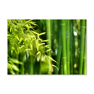 Quadro vetro acrilico Bambù