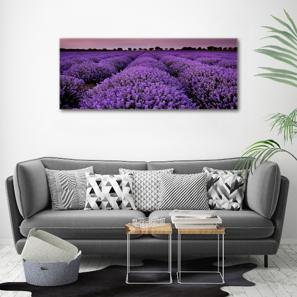 Quadro in vetro acrilico Campo di lavanda