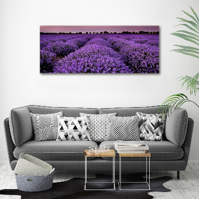 Quadro in vetro acrilico Campo di lavanda