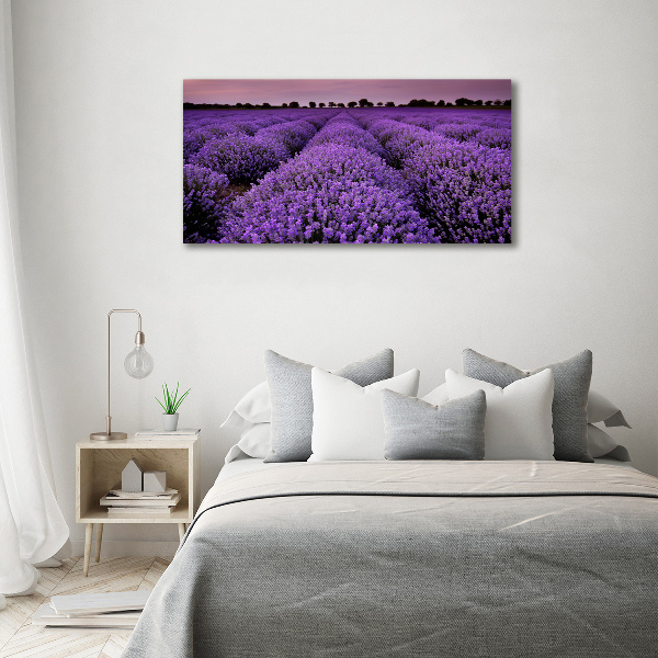 Quadro in vetro acrilico Campo di lavanda