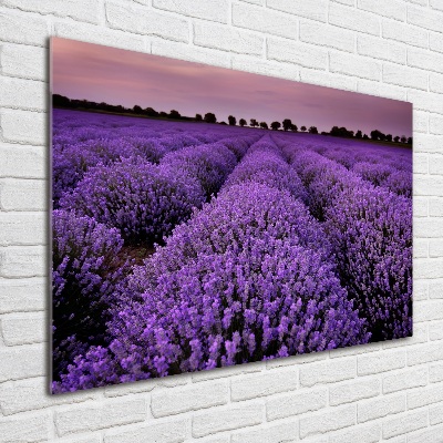 Quadro in vetro acrilico Campo di lavanda
