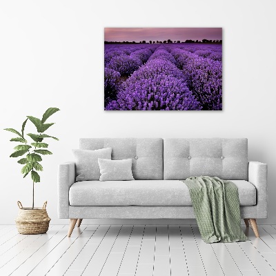 Quadro in vetro acrilico Campo di lavanda