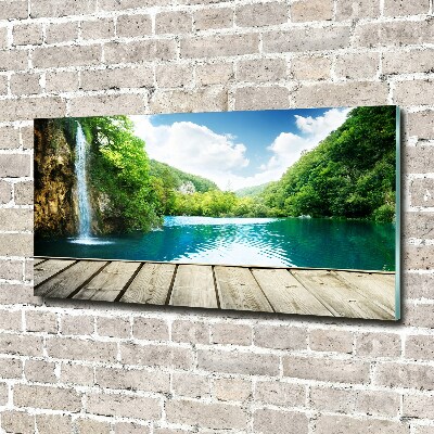 Quadro su vetro acrilico Cascata nella foresta