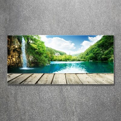 Quadro su vetro acrilico Cascata nella foresta