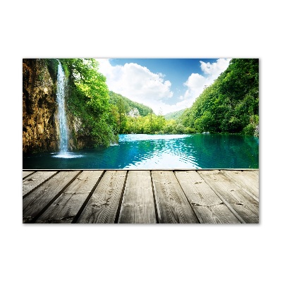 Quadro su vetro acrilico Cascata nella foresta
