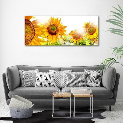 Quadro vetro acrilico Girasoli