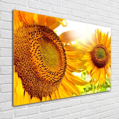 Quadro vetro acrilico Girasoli