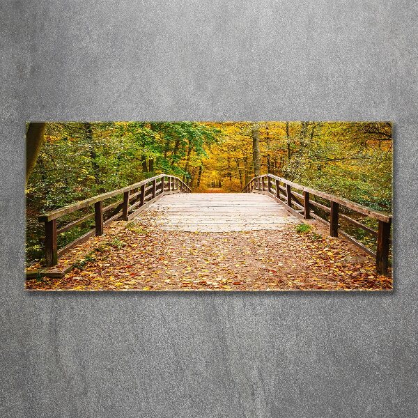 Quadro vetro acrilico Ponte nella foresta autunnale
