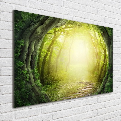 Quadro su vetro acrilico Tunnel tra gli alberi