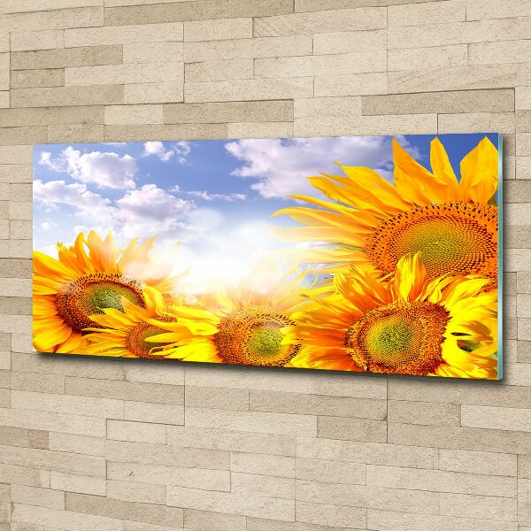 Quadro in vetro acrilico Girasoli