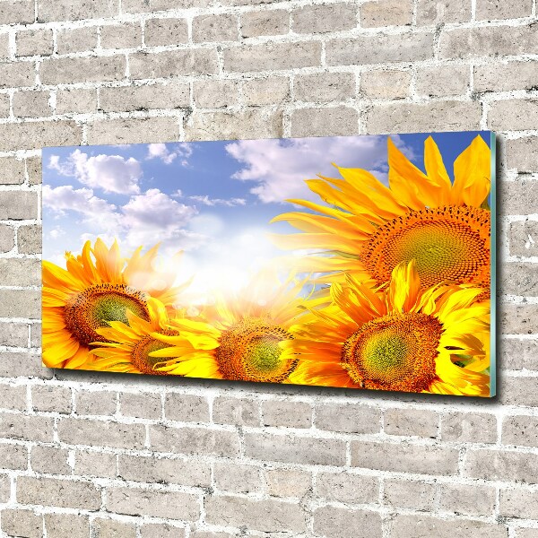 Quadro in vetro acrilico Girasoli