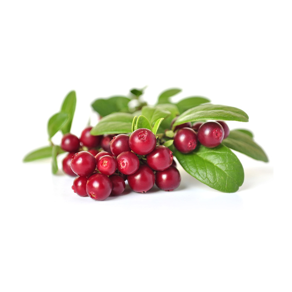 Quadro in vetro acrilico Mirtillo rosso