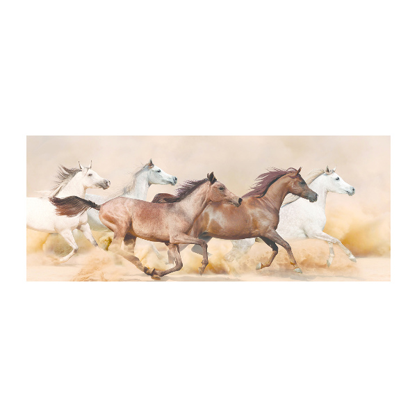 Quadro su vetro acrilico Cavalli al galoppo