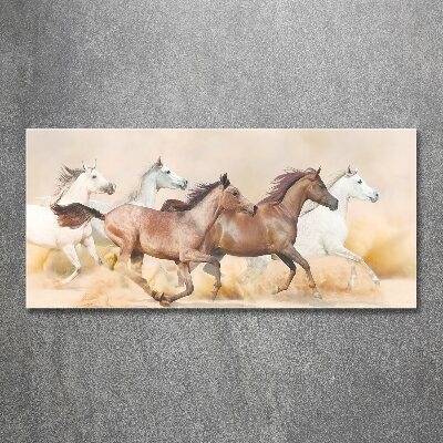 Quadro su vetro acrilico Cavalli al galoppo