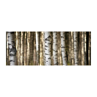 Quadro vetro acrilico Betulle