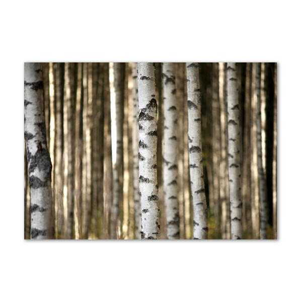 Quadro vetro acrilico Betulle