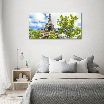 Quadro vetro acrilico Torre Eiffel Parigi