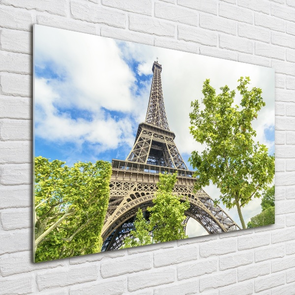 Quadro vetro acrilico Torre Eiffel Parigi