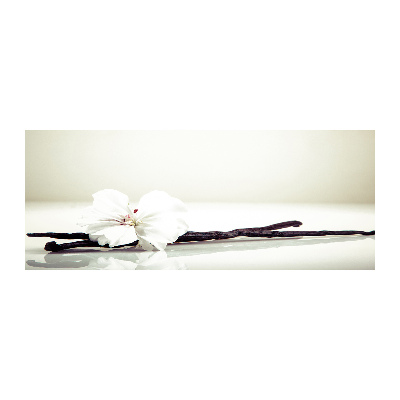 Quadro su vetro acrilico Baccello di vaniglia