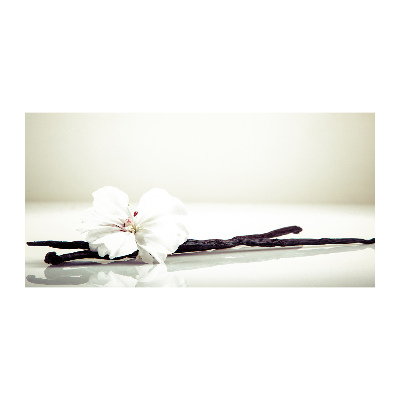 Quadro su vetro acrilico Baccello di vaniglia