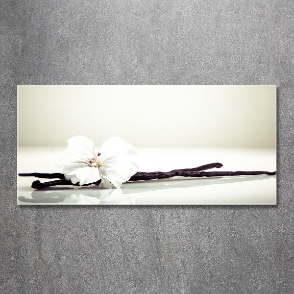 Quadro su vetro acrilico Baccello di vaniglia