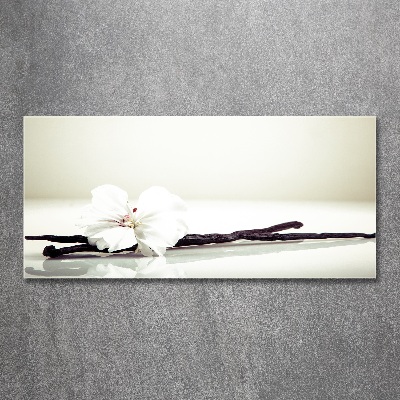 Quadro su vetro acrilico Baccello di vaniglia