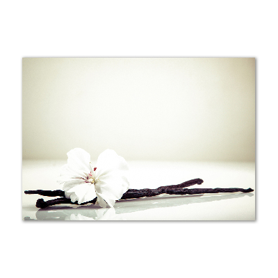 Quadro su vetro acrilico Baccello di vaniglia