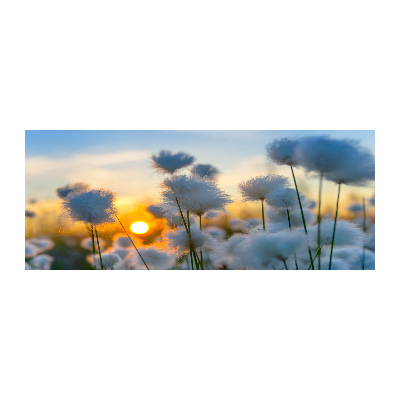 Quadro vetro acrilico Erba cotone