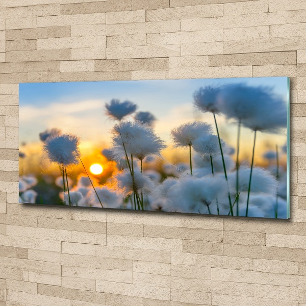 Quadro vetro acrilico Erba cotone