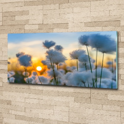 Quadro vetro acrilico Erba cotone