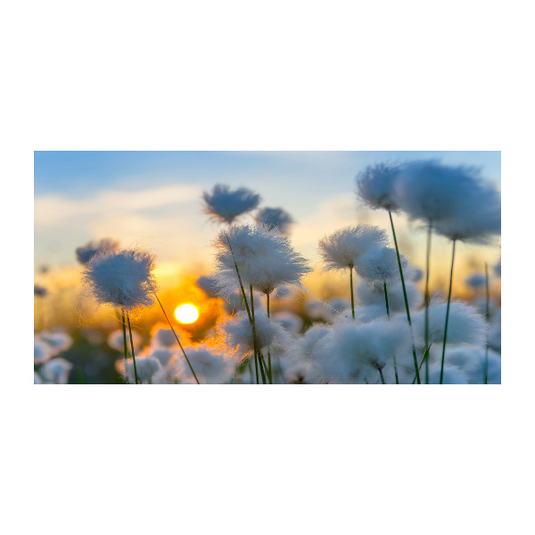 Quadro vetro acrilico Erba cotone