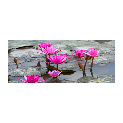 Quadro in vetro acrilico Fiore di loto