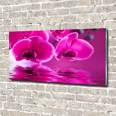 Quadro vetro acrilico Orchidea