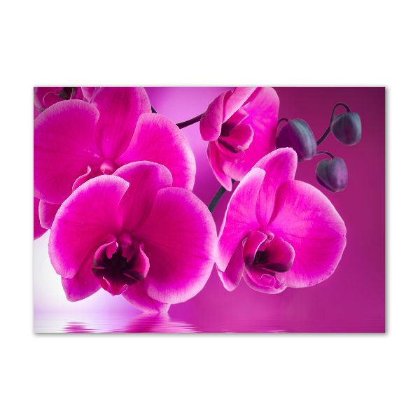 Quadro vetro acrilico Orchidea