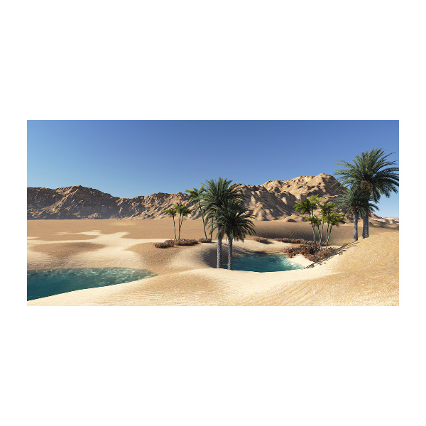 Quadro su vetro acrilico Oasi