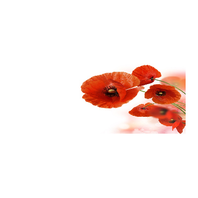 Quadro vetro acrilico Papaveri