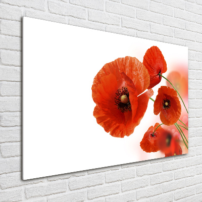 Quadro vetro acrilico Papaveri