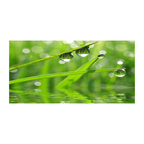 Quadro su vetro acrilico Gocce sull'erba