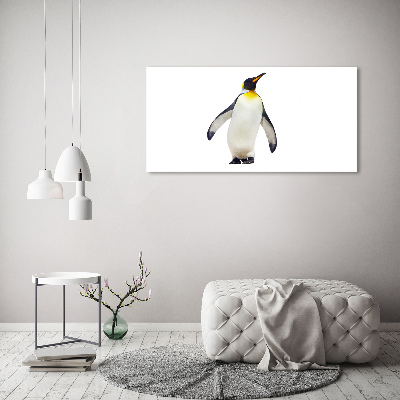 Quadro vetro acrilico Pinguino