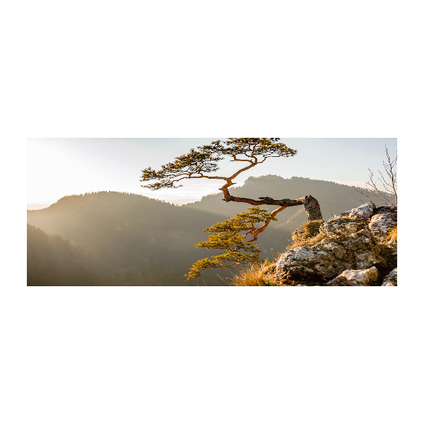 Quadro vetro acrilico Sokolica Pieniny