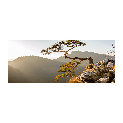 Quadro vetro acrilico Sokolica Pieniny